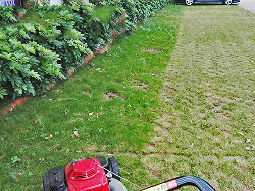 园林绿化对气候土壤光照的选择