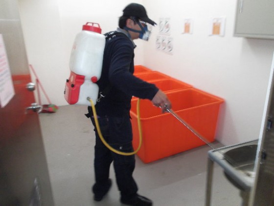 学校是公共场所，因人流量大，防虫灭鼠工作要